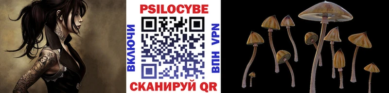 Галлюциногенные грибы Psilocybe  Купить где  Конаково 